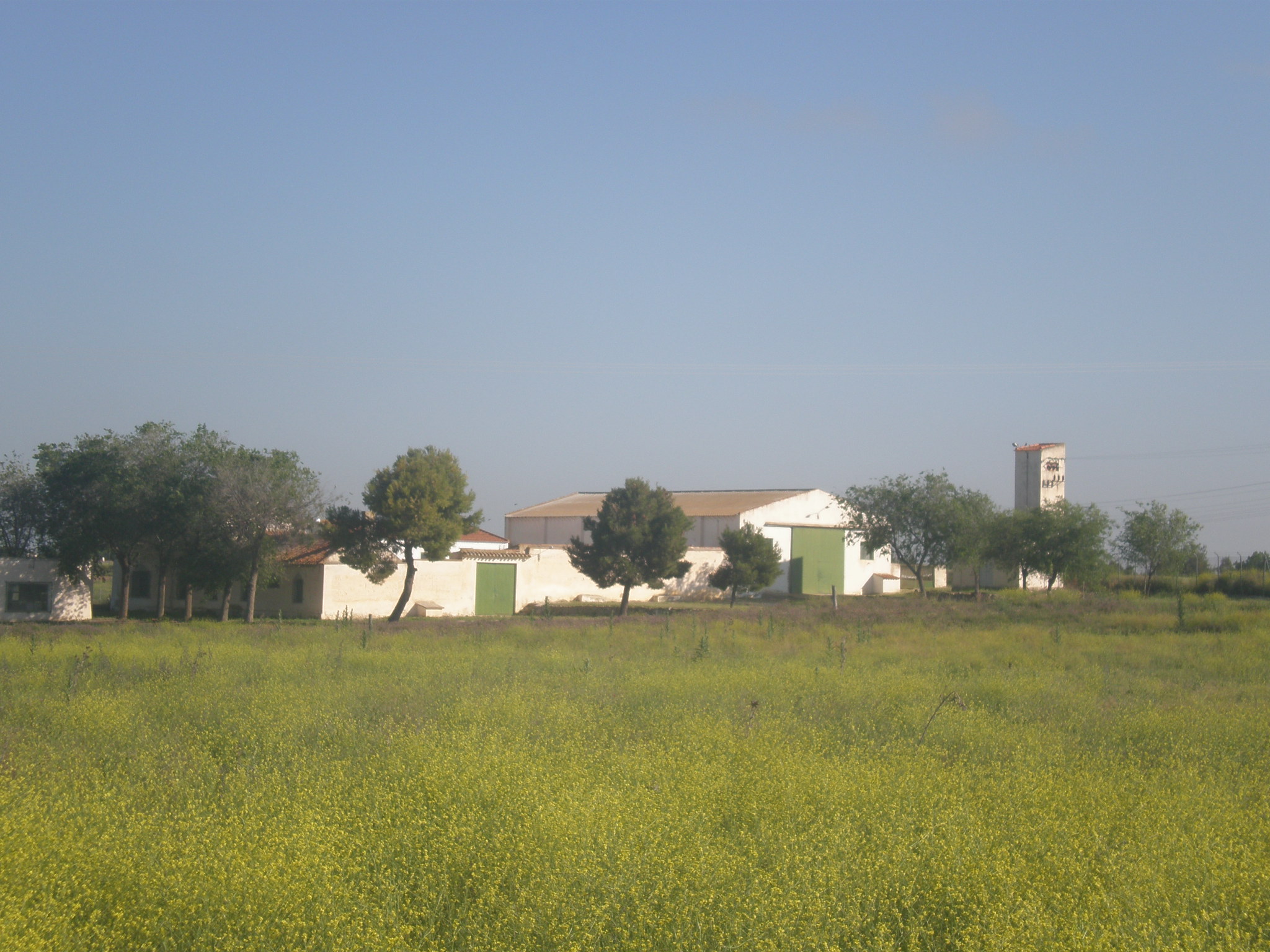 Casa Juarez Eventos Albacete Albacete