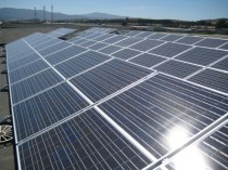 Galivoltaica Vigo